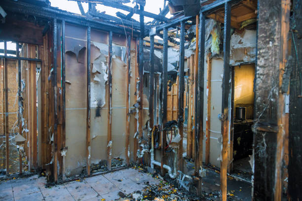 Professional Fire Damage Removal technician working in Lauderdale-by-the-Sea, FL